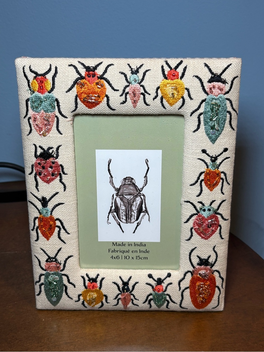 Embroidered Beetle Accent Picture Frame — Cream with Multicolor Stitching